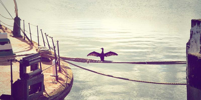 从专业体育用品到卓越赛事服务：打造一体化体育赛事解决方案