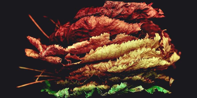 从专业运动装备到顶级赛事策划：卡纳里体育如何打造全方位运动生态