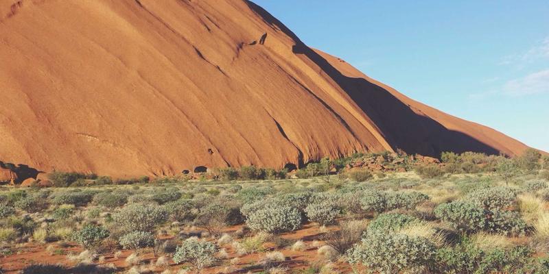 体育用品74：赛事策划、体育零售与赛事服务的三位一体新生态