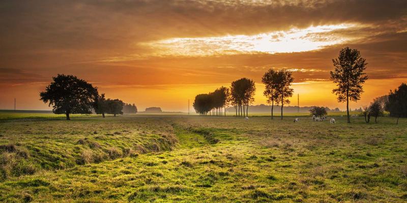 体育用品77：以赛事服务与体育零售双轮驱动，卡纳里体育如何重塑行业生态