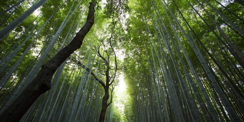 儿童体育用品选购指南：从安全运动装备到专业赛事服务的全攻略