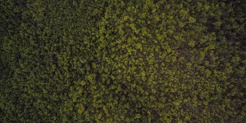 力量训练腰带终极指南：体育用品专家教你何时使用及如何选择专业运动装备