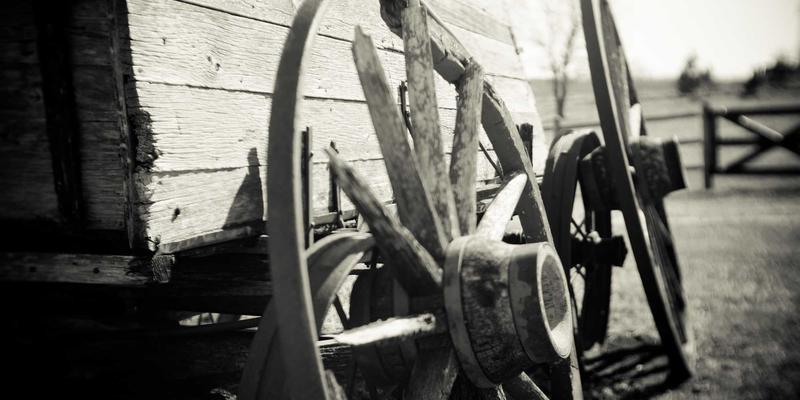 卡纳里体育：以专业赛事服务赋能体育零售新生态