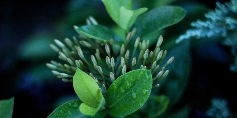 卡纳里体育：以赛事服务为引擎，驱动体育零售新生态