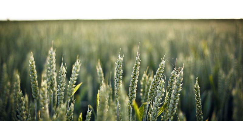 卡纳里体育：以赛事服务为引擎，驱动体育零售新生态