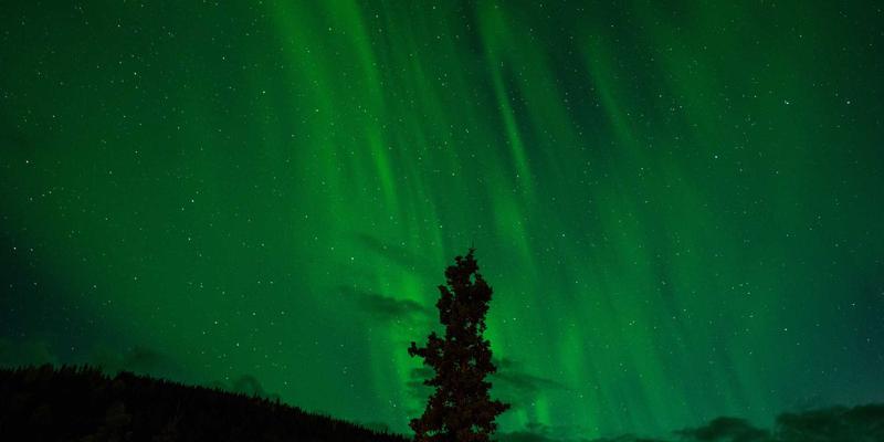 卡纳里体育洞察：运动装备创新与赛事服务升级如何重塑体育产业格局