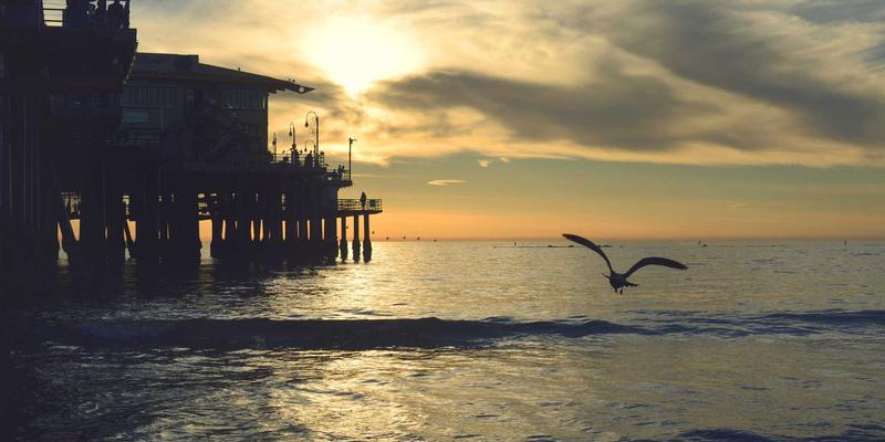 家庭健身房必备：10款高性价比力量训练器材推荐 | 卡纳里体育专业指南