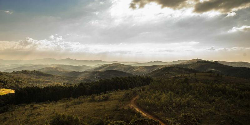 户外登山杖选购全攻略：卡纳里体育解析材质、锁紧系统与腕带的人体工程学设计