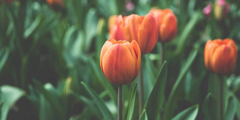 滑雪装备入门清单：卡纳里体育专家详解从雪板固定器到护具的安全选购要点