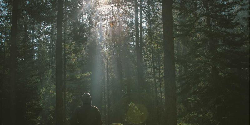 赛事策划新纪元：卡纳里体育如何以专业赛事服务赋能体育用品68行业